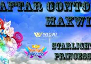 5 Daftar Contoh MAXWIN Slot Starlight Princess
