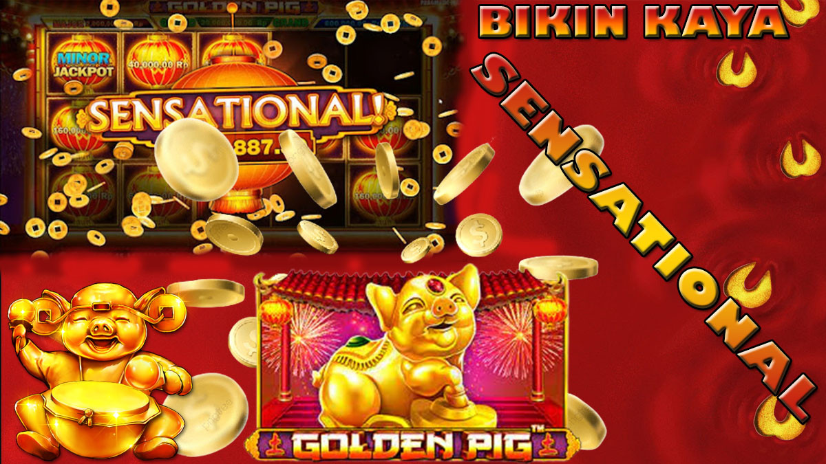 Online Slot Golden Pig Menggila, Begini 2 Cara Sensational Hingga Jackpot Bikin Kaya