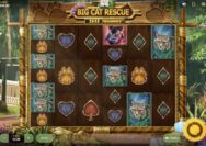 Game Slot Pragmatic Play Big Cat Rescue Megaways banyak bocoran di gamenya