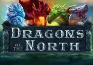 Dragon of The North