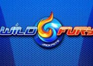 Game Wild Fury dari IGT Gaming Terbaru 2023