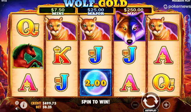 slot wolf gold