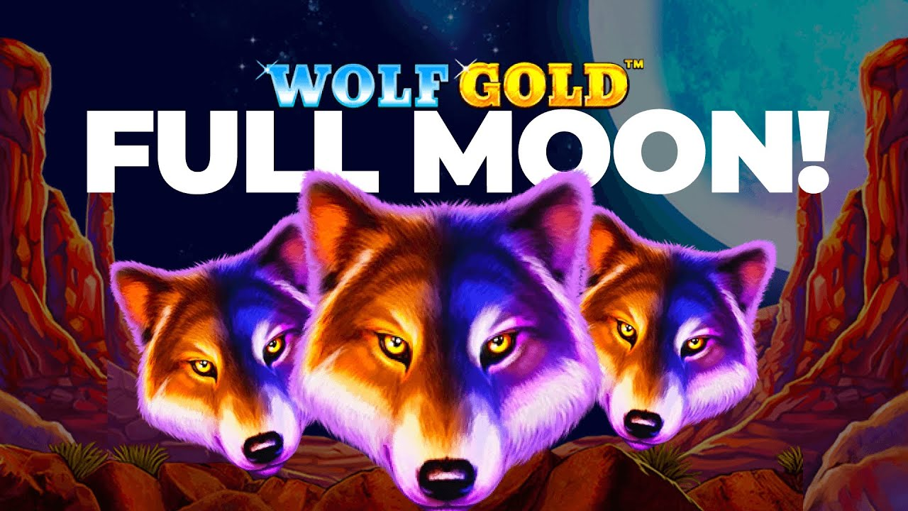 wolf gold