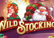 Wild Stocking