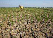 Wilayah Mana yang Diperkirakan Mengalami Suhu Lebih Panas Saat Musim Kemarau?