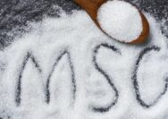 Mitos MSG Berbahaya Ternyata Dipengaruhi Stigma dan Bias Sosial